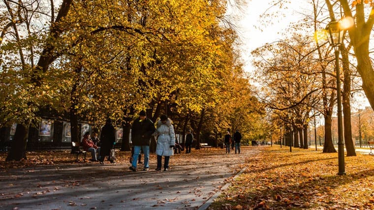 The worst parts about fall