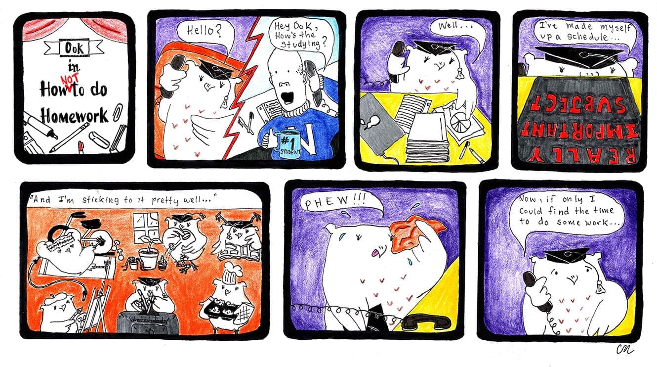 NAIT Ooks mascot comic