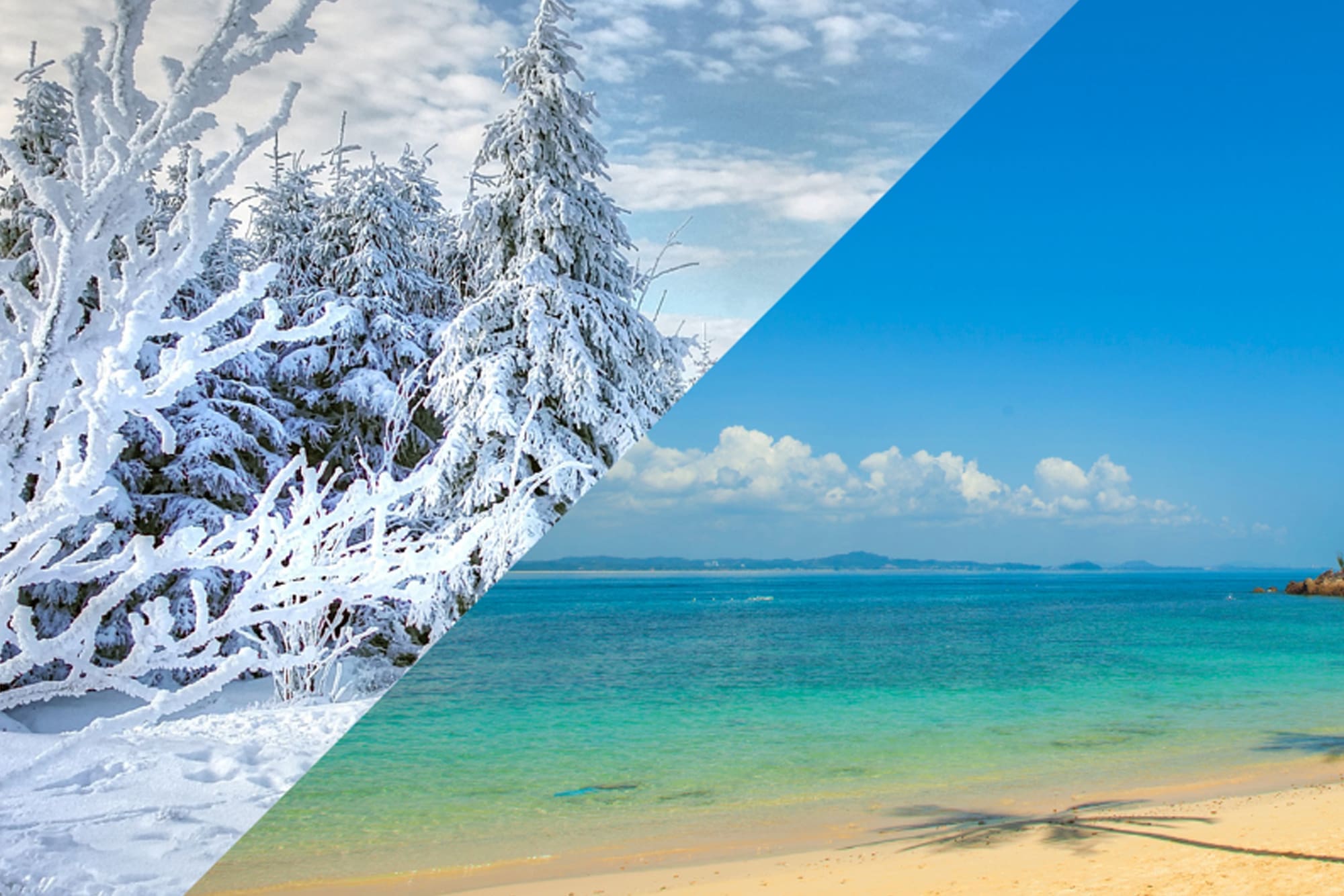 For/Against: Summer vs. Winter
