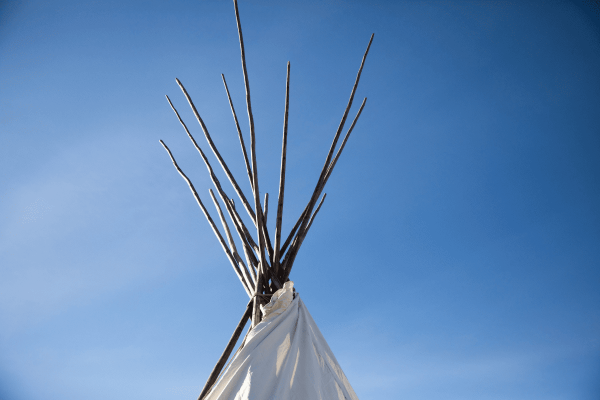 Aboriginal Culture Day