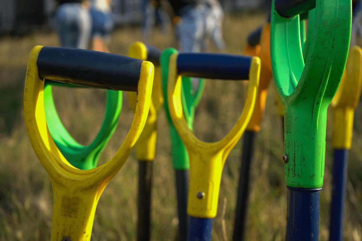 Students planting trees for change