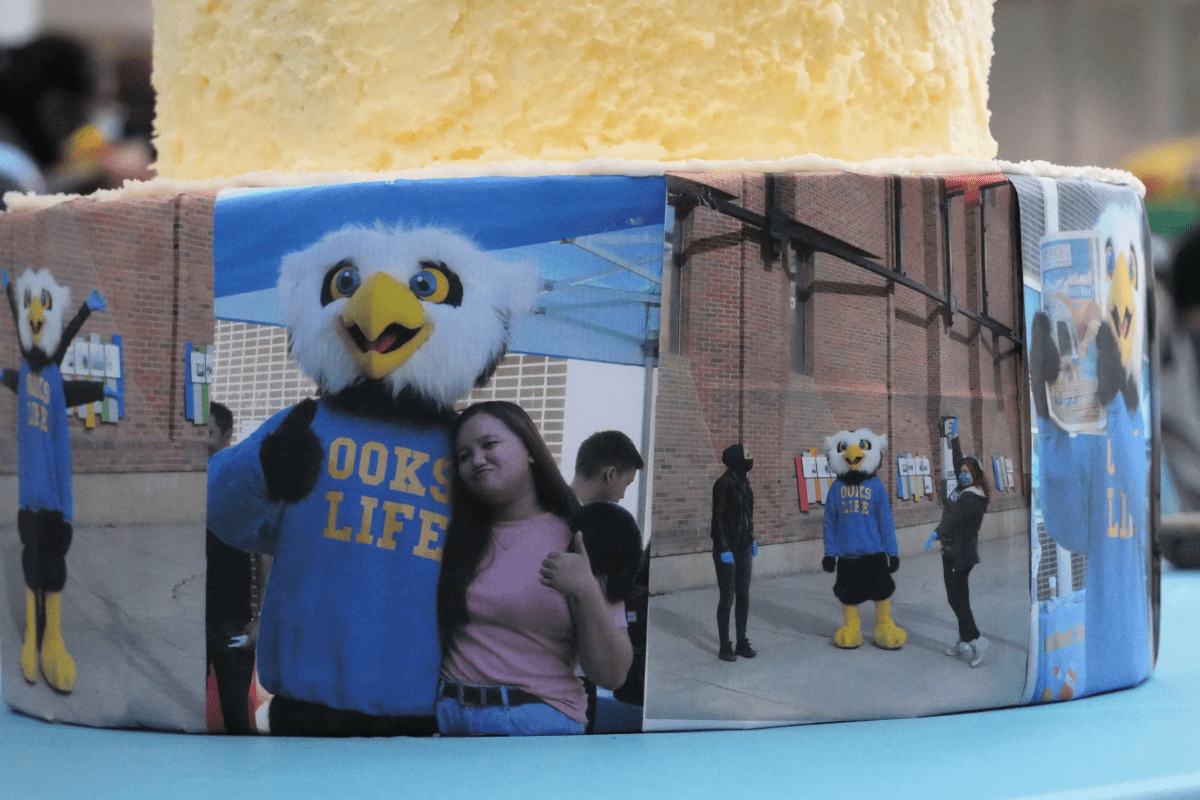 Ooks birthday bash
