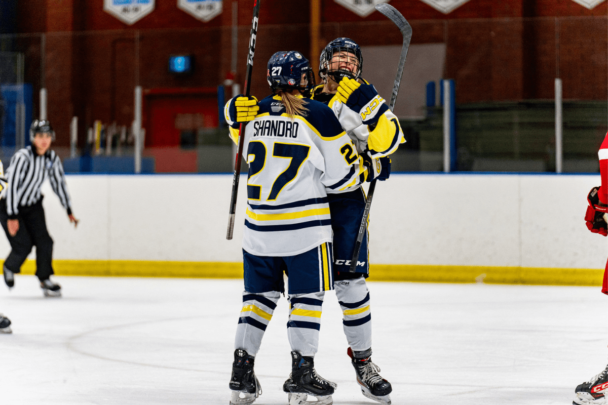 hocky-preview
