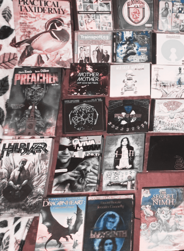 Some of Dawson's physical media collection.